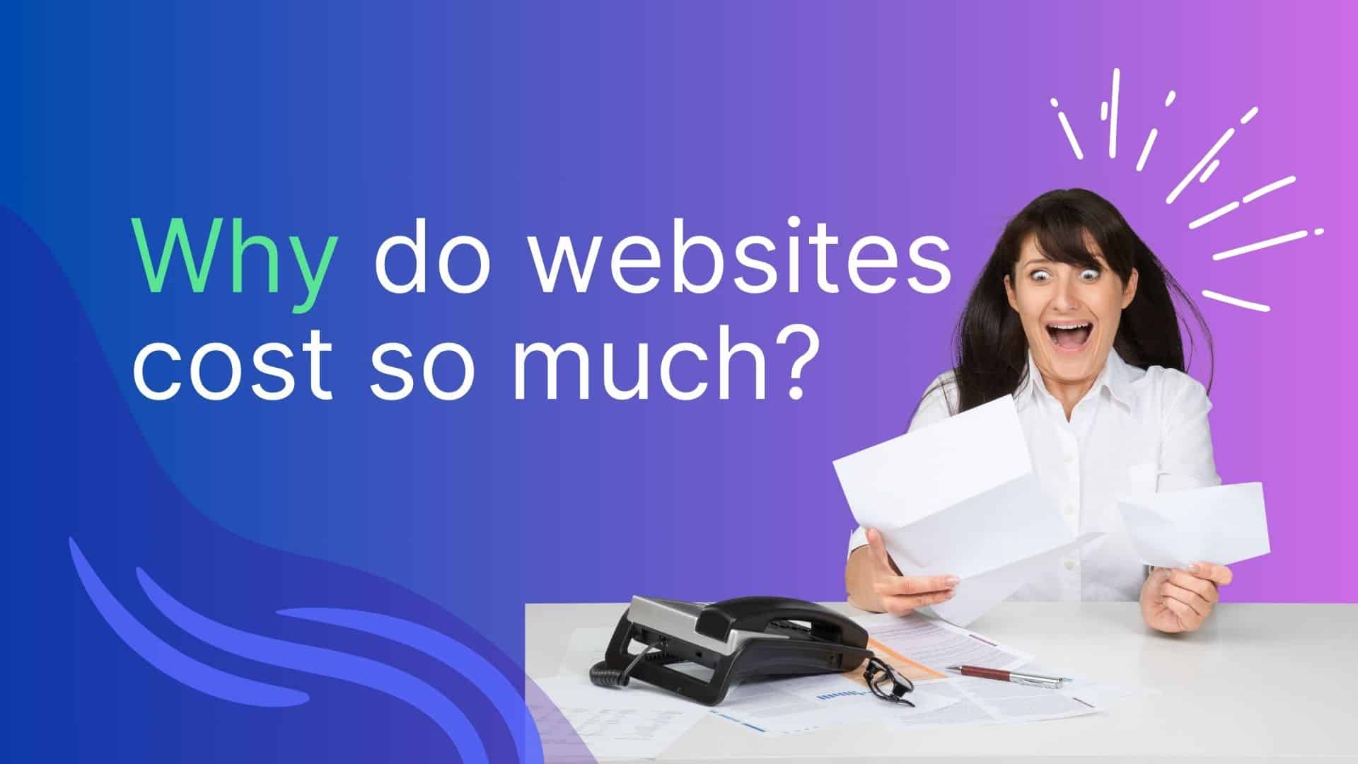 why do websites cost so much?